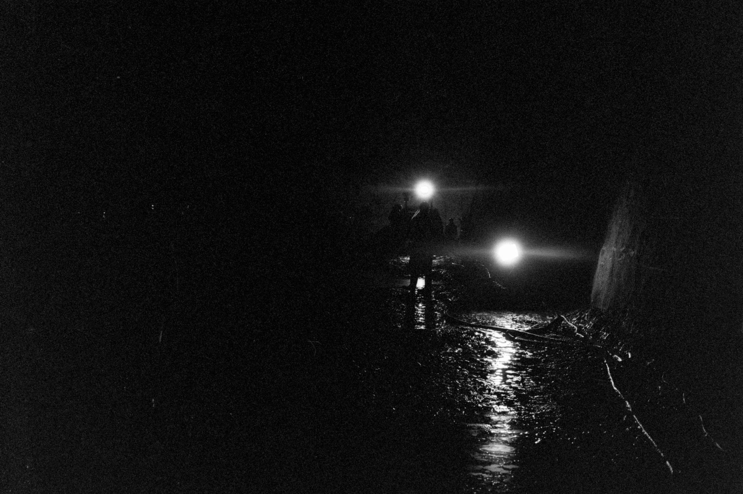 AHP F1994 11 007 sc250521 img20 NLP